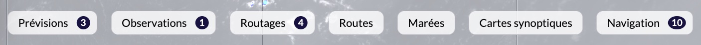 Feature chips bar showing Forecasts, Observations, Routings, Routes, Tides, Synoptic Maps and Navigation